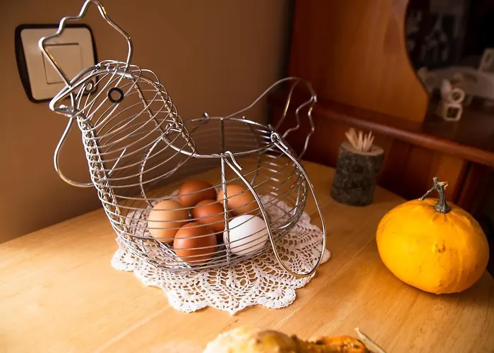 Casa Magueeto Kır Evi